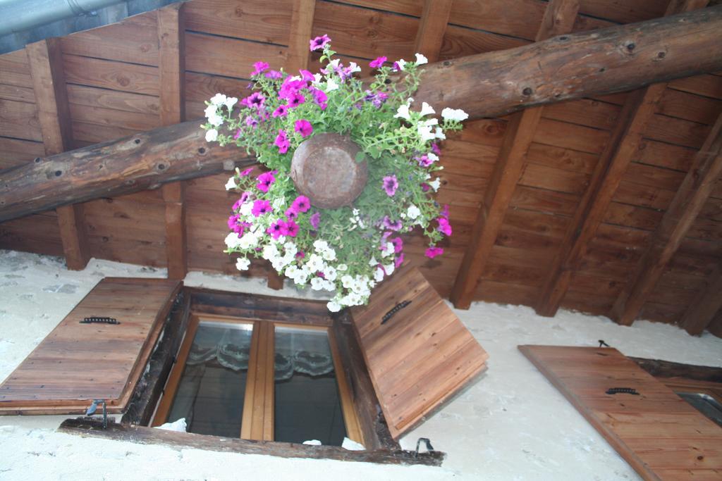 Chambre d'hôtes La Romarine Barnave Extérieur photo